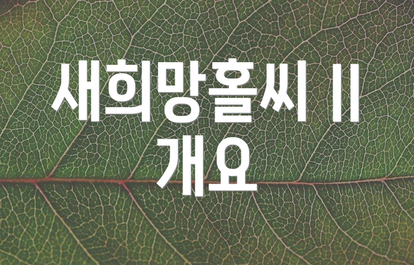 새희망홀씨 II 개요