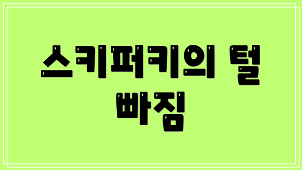 스키퍼키의 털 빠짐