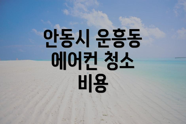 안동시 운흥동 에어컨 청소 비용