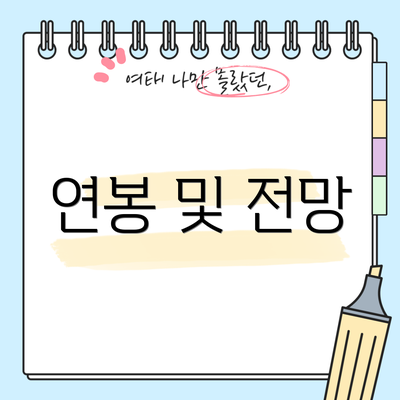 연봉 및 전망