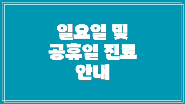 일요일 및 공휴일 진료 안내