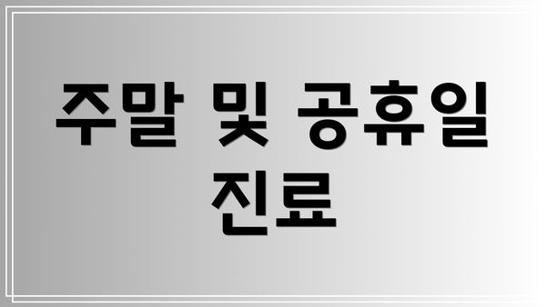 주말 및 공휴일 진료