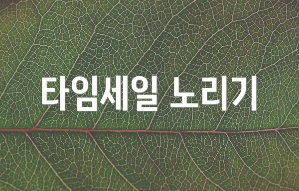 타임세일 노리기