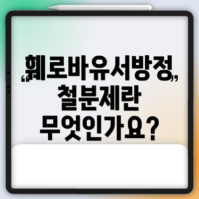 훼로바유서방정 철분제란 무엇인가요?