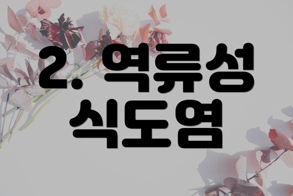 2. 역류성 식도염