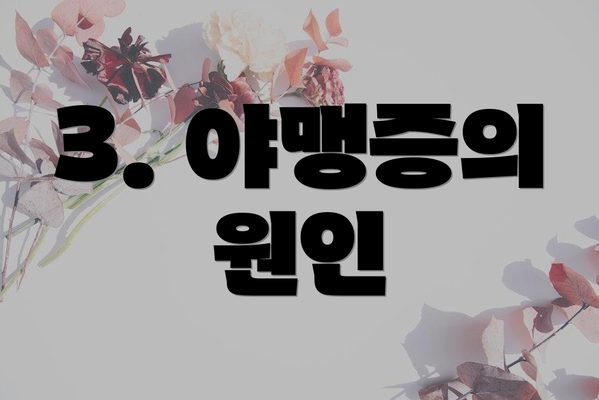 3. 야맹증의 원인