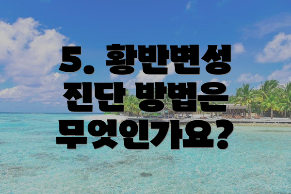 5. 황반변성 진단 방법은 무엇인가요?