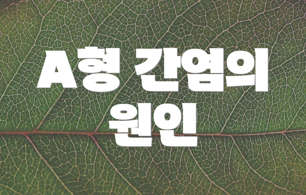 A형 간염의 원인