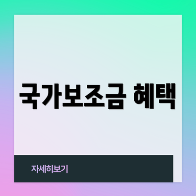 국가보조금 혜택