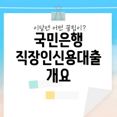 국민은행 직장인신용대출 개요