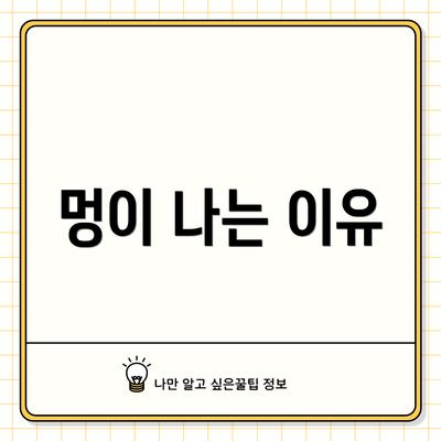 멍이 나는 이유