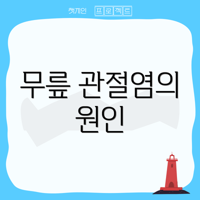 무릎 관절염의 원인