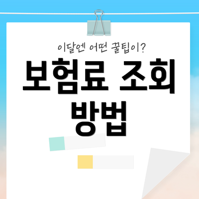 보험료 조회 방법