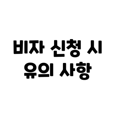 비자 신청 시 유의 사항