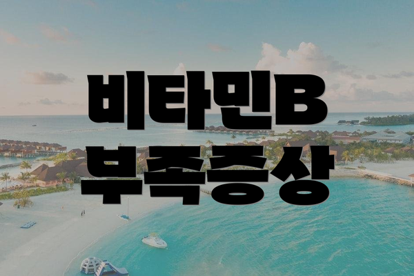 비타민B 부족증상