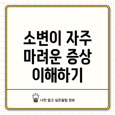 소변이 자주 마려운 증상 이해하기