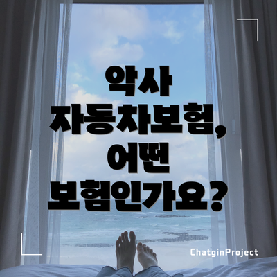 악사 자동차보험, 어떤 보험인가요?