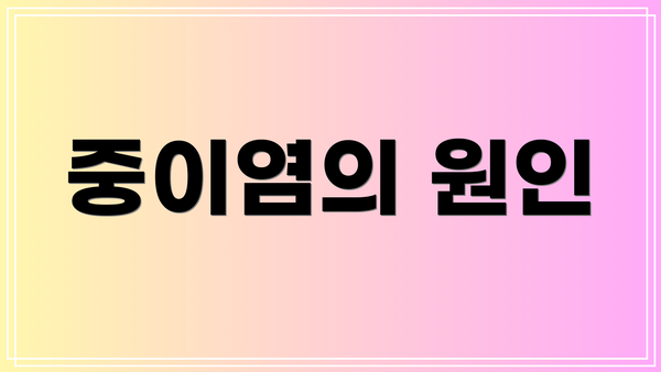 중이염의 원인