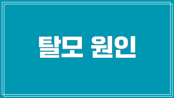 탈모 원인