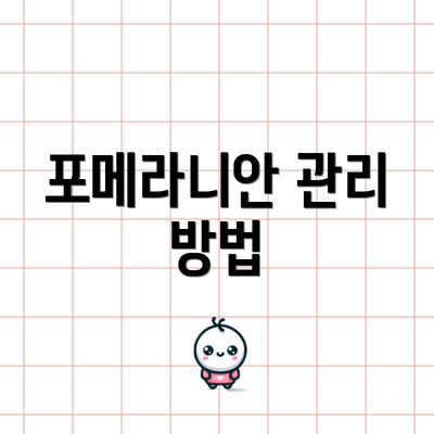 포메라니안 관리 방법