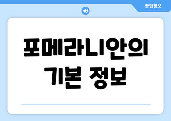 포메라니안의 기본 정보