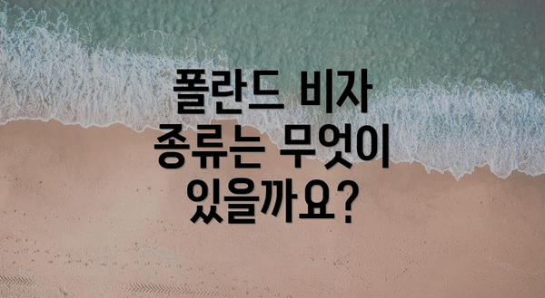 폴란드 비자 종류는 무엇이 있을까요?