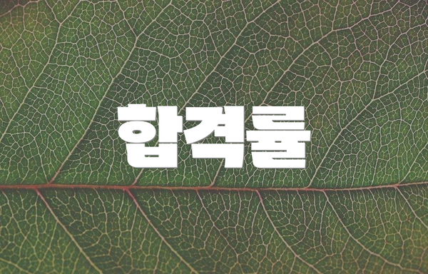 합격률