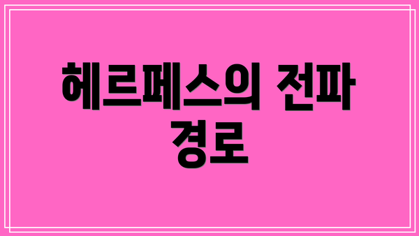 헤르페스의 전파 경로