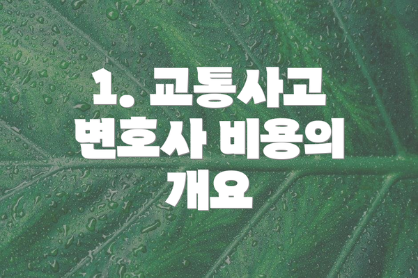 1. 교통사고 변호사 비용의 개요