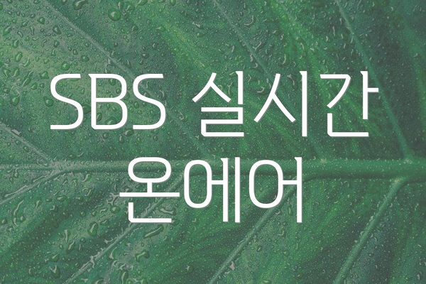 SBS 실시간 온에어