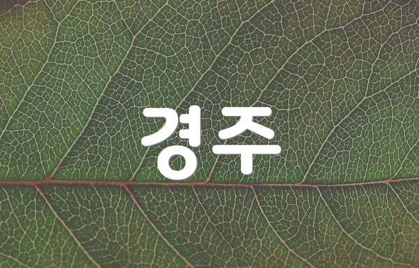 경주