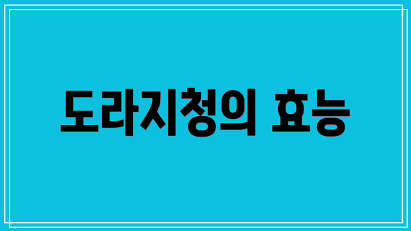 도라지청의 효능