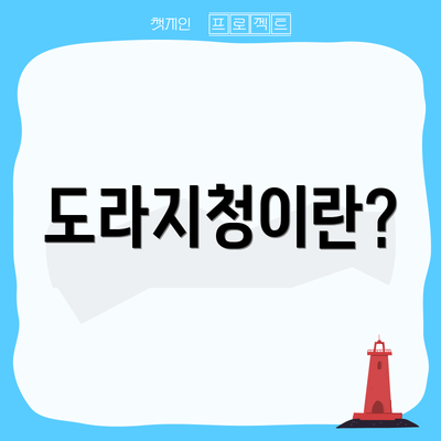 도라지청이란?