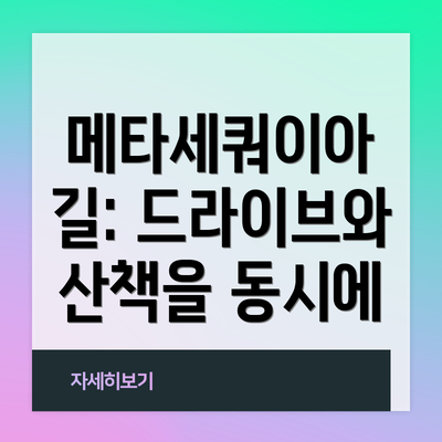 메타세쿼이아 길: 드라이브와 산책을 동시에
