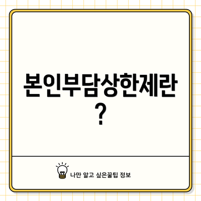 본인부담상한제란?