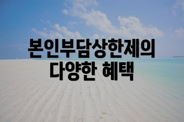 본인부담상한제의 다양한 혜택