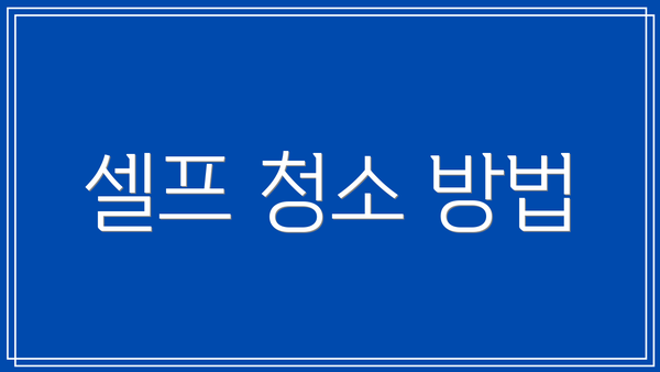 셀프 청소 방법