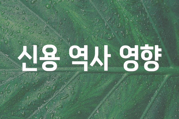 신용 역사 영향