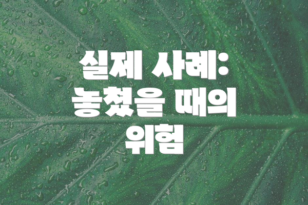 실제 사례: 놓쳤을 때의 위험