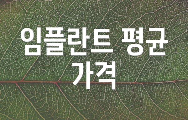 임플란트 평균 가격