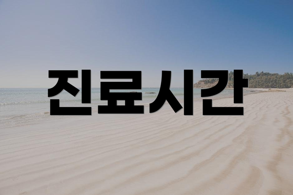 진료시간