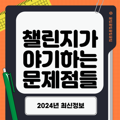 챌린지가 야기하는 문제점들