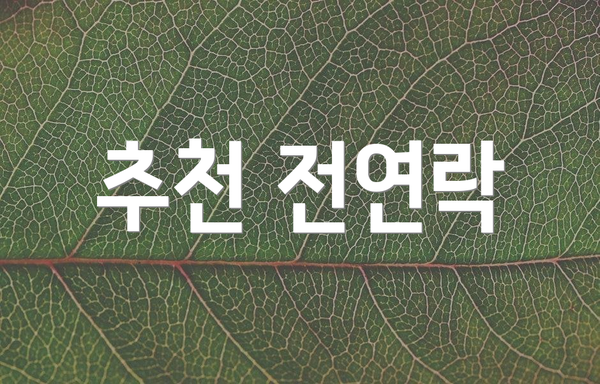 추천 전연락