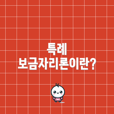 특례 보금자리론이란?